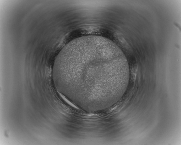 X0000097780657200803211800