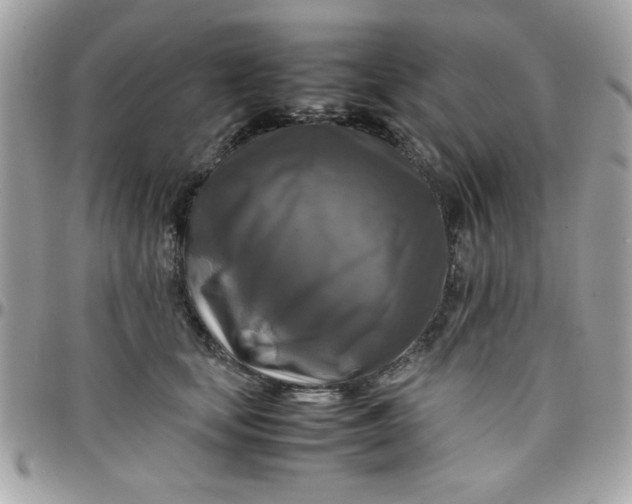 X0000097780659200803211800