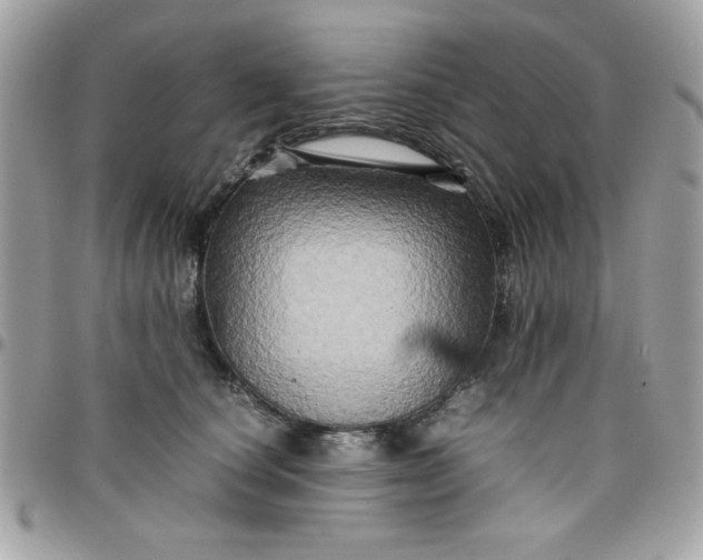 X0000097780660200803211800