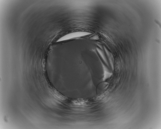 X0000097780661200803211800