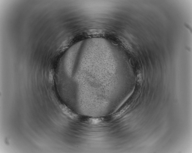 X0000097780662200803211800