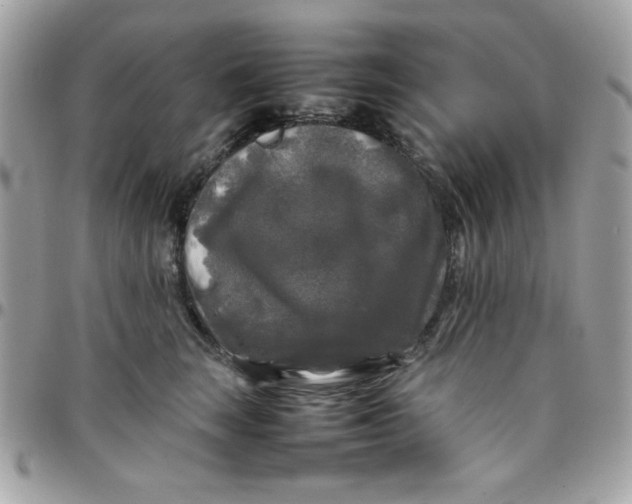 X0000097780663200803211800