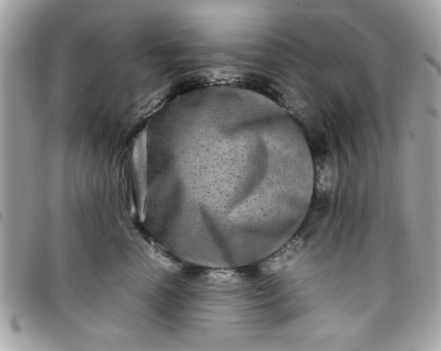 X0000097780666200803211800