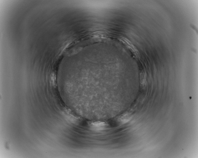 X0000097780669200803211800