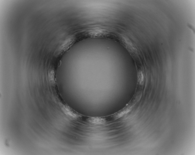 X0000097780670200803211800