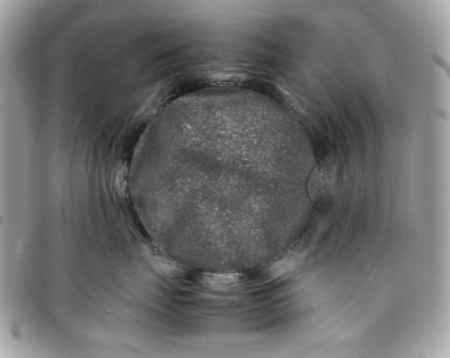 X0000097780671200803211800