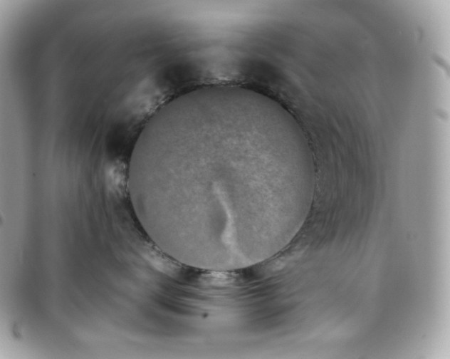 X0000097780672200803211800