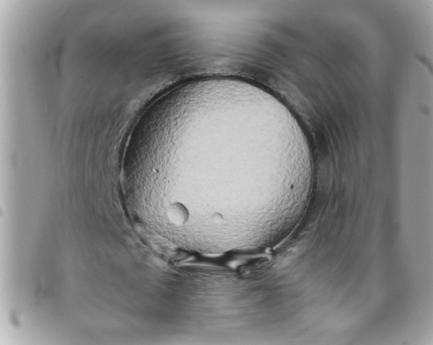 X0000097780673200803211759