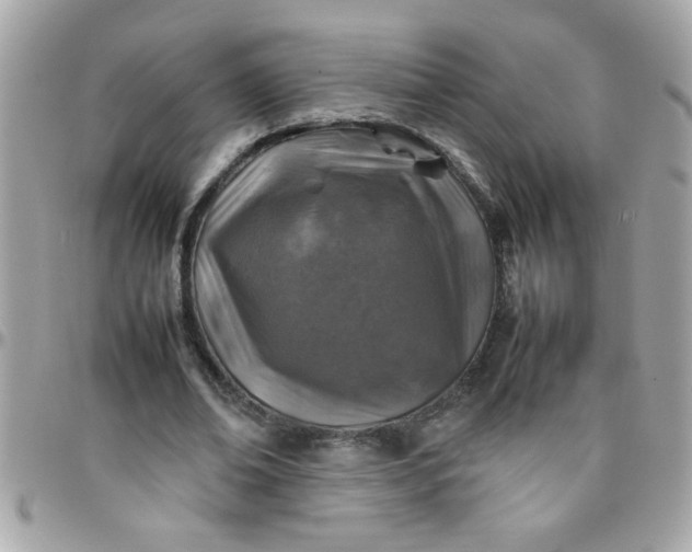 X0000097780678200803211759