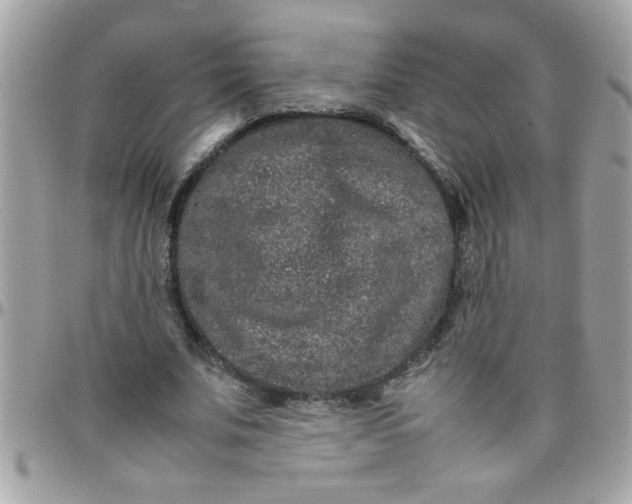 X0000097780679200803211759