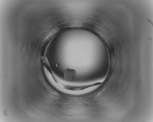 X0000097780681200803211759