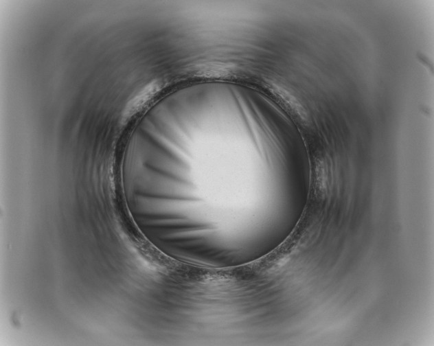 X0000097780682200803211759