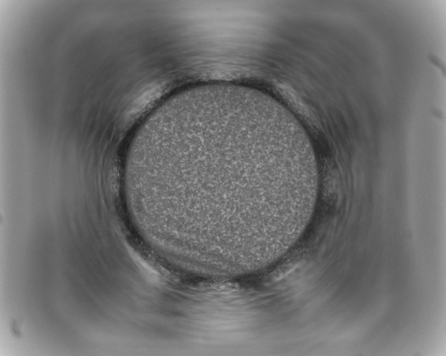 X0000097780683200803211759