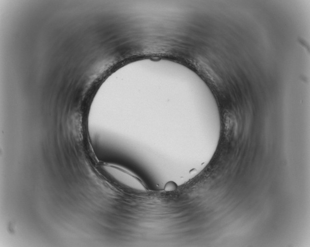 X0000097780684200803211759