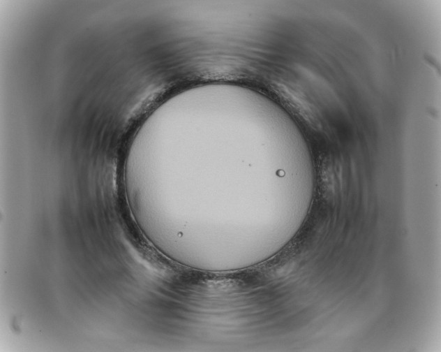 X0000097780686200803211759