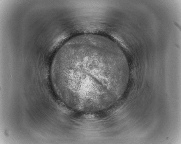 X0000097780687200803211759