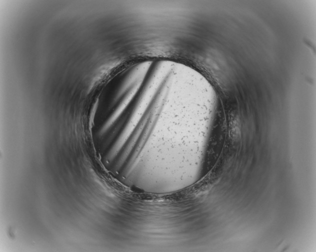 X0000097780688200803211759