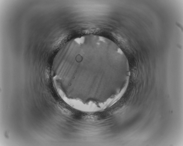 X0000097780691200803211759