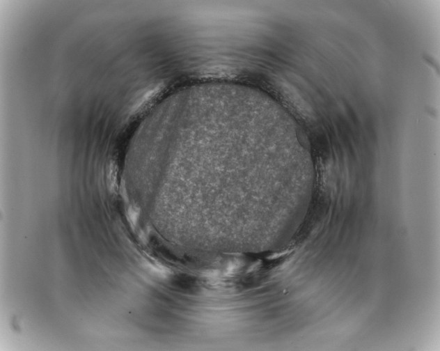 X0000097780692200803211759