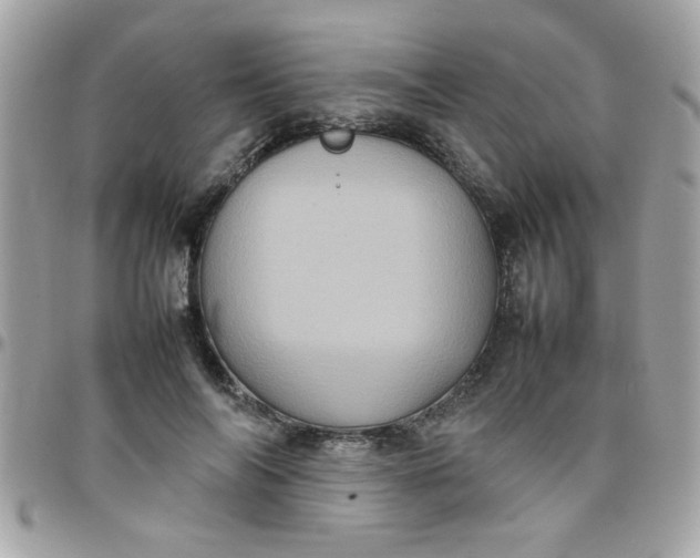 X0000097780694200803211759