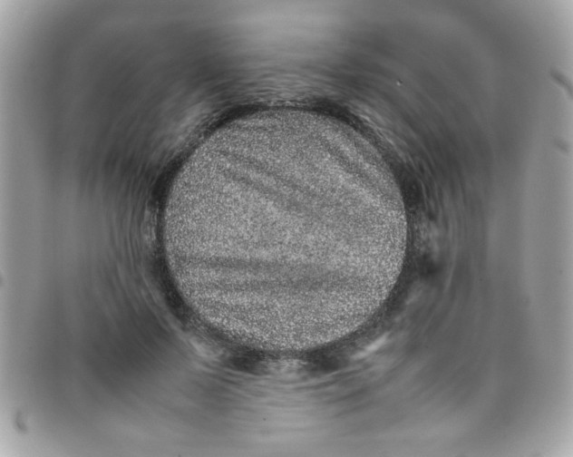 X0000097780695200803211759