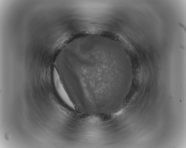 X0000097780696200803211759