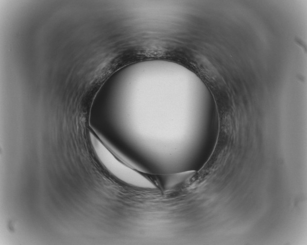 X0000097780697200803211759