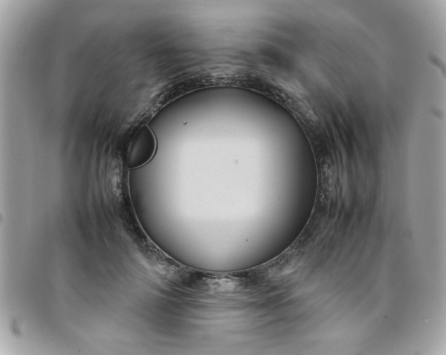 X0000097780698200803211759