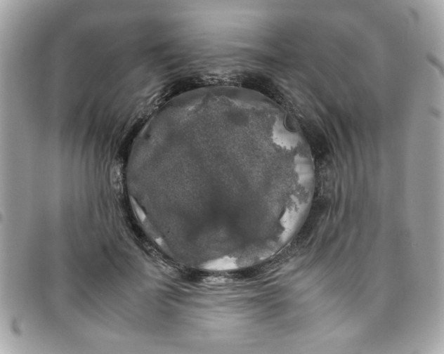 X0000097780699200803211759