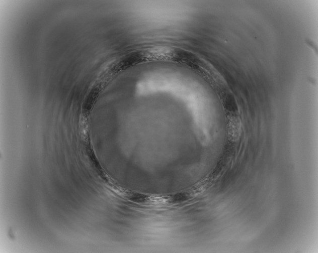 X0000097780701200803211759