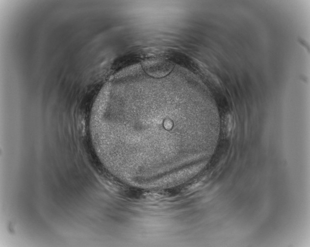 X0000097780703200803211759