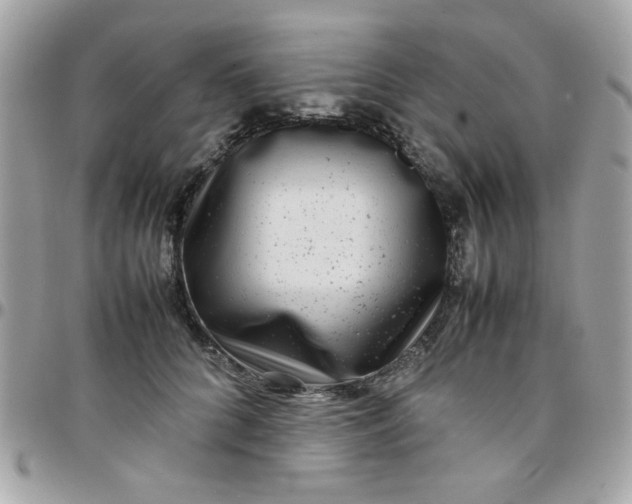 X0000097780704200803211759