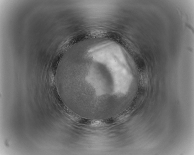 X0000097780705200803211759