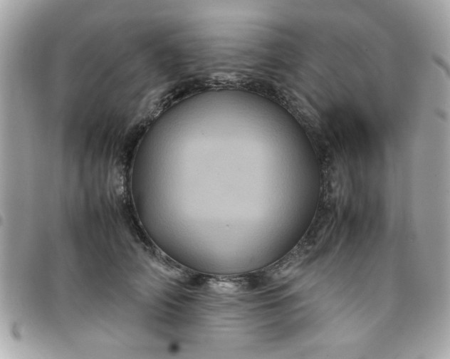 X0000097780706200803211759