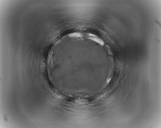 X0000097780707200803211759