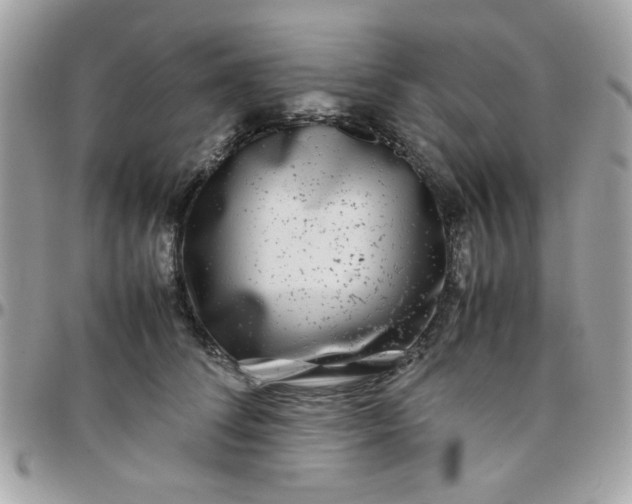 X0000097780708200803211759