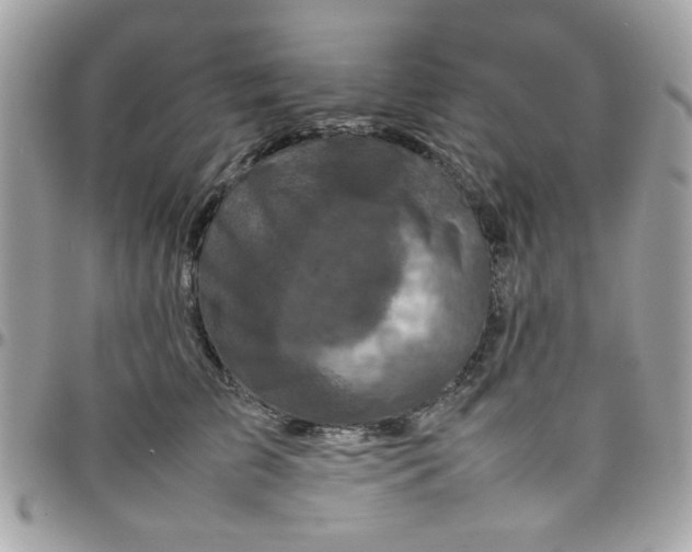 X0000097780709200803211759