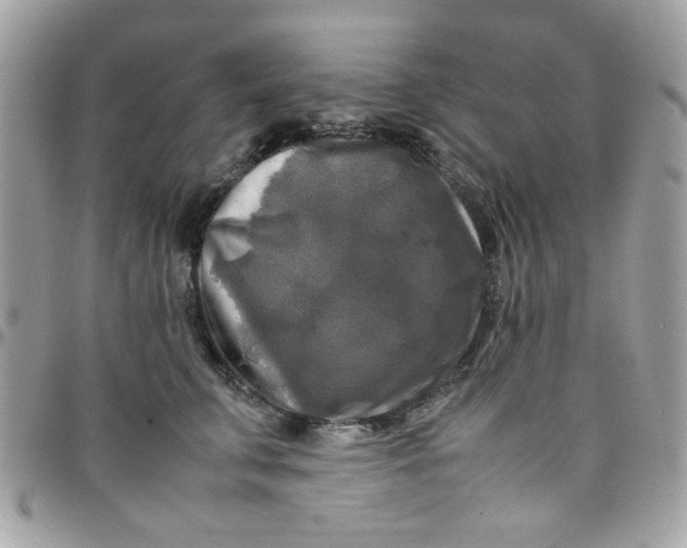 X0000097780711200803211759