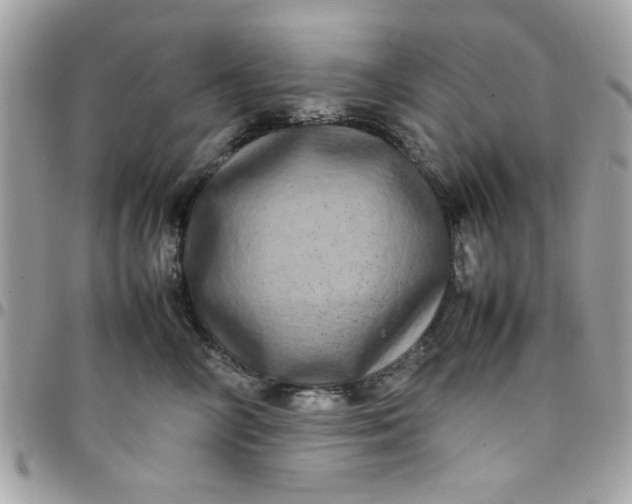 X0000097780714200803211759