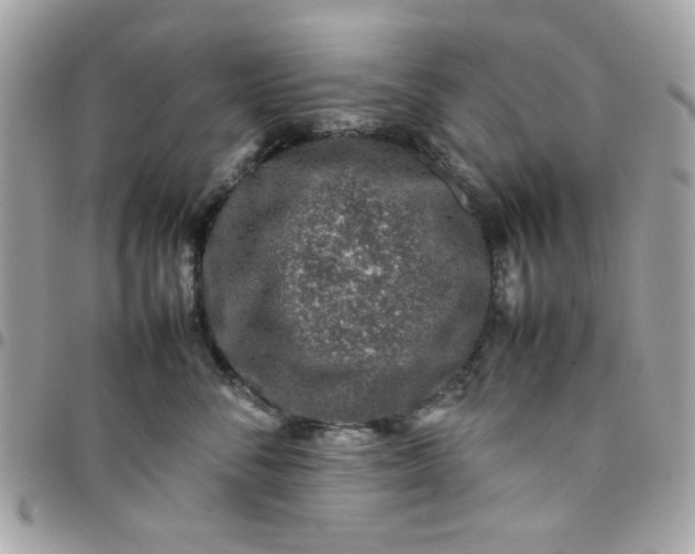 X0000097780716200803211759