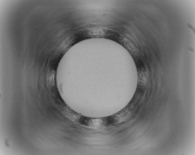 X0000097780717200803211758