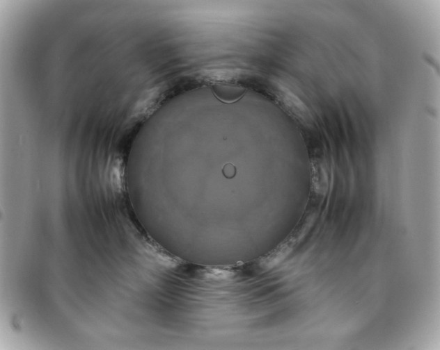 X0000097780718200803211758