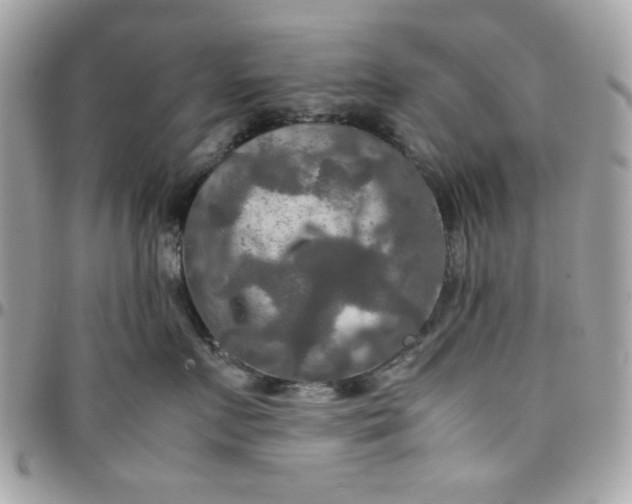 X0000097780719200803211758