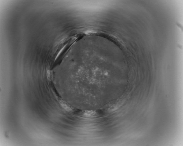 X0000097780720200803211758