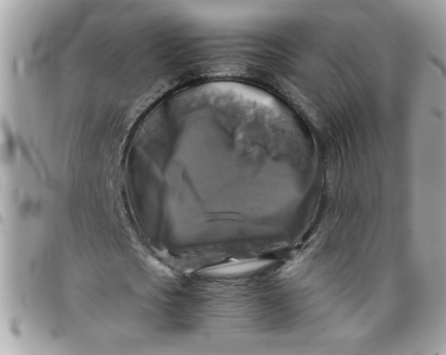 X0000097780721200803211758