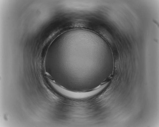 X0000097780722200803211758