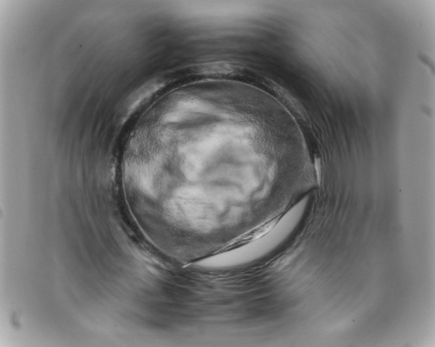 X0000097780723200803211758