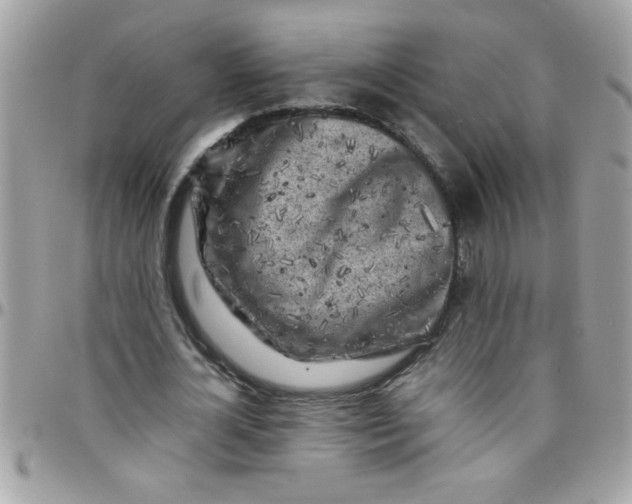 X0000097780724200803211758