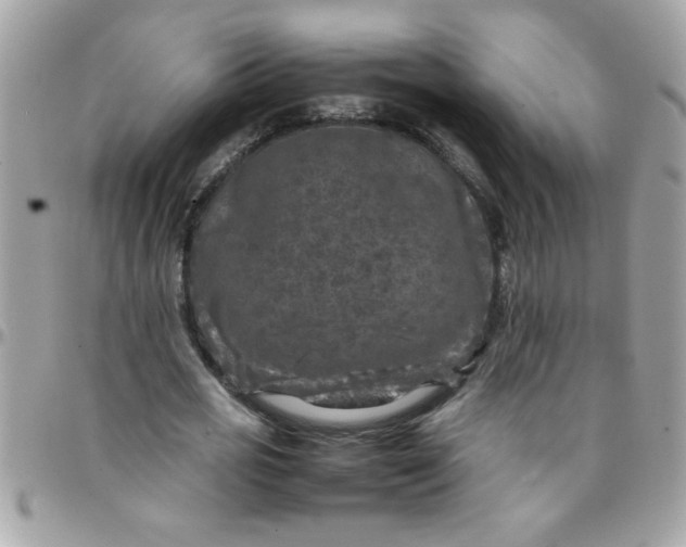 X0000097780725200803211758