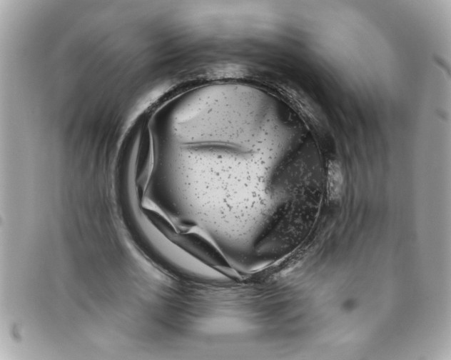 X0000097780726200803211758